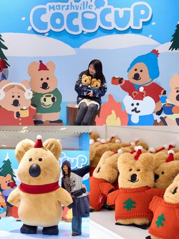 Dinotaeng冬季快閃店來了！台灣確定「這天」登場，毛衣Quokka、聖誕帽BOBO可愛必收！