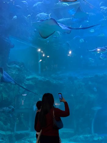 一山水族館｜淚之女王、現在撥打的電話拍攝地