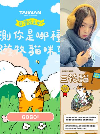 社群爆紅貓咪心理測驗！12題測你的個性最像哪種貓咪、你是活力滿滿的三花貓還是超I的紙箱貓？