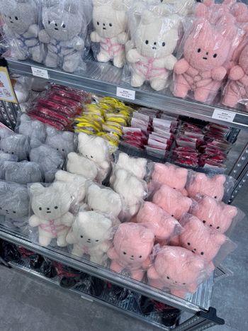 台北探店 綁綁兔快閃店