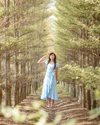 🦁Leo 絕美沿伸感小葉欖仁