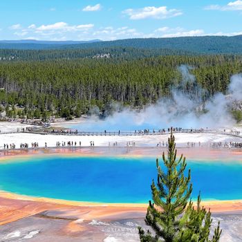 【美國- Montana】探索大自然的奇蹟│Yellowstone National Park│黃石國家公園