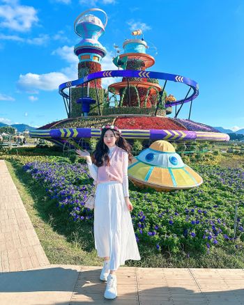 遲來打卡的2024新社花海🌺🌸🌼🌻🌷 台中最盛大的花海活動🌟超美超夢幻