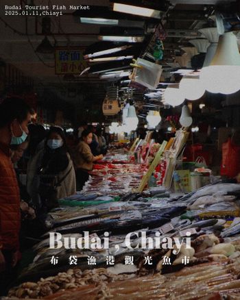  嘉義布袋｜旅遊景點｜布袋漁港觀光魚市．嘉義海線一日遊推薦行程，採買新鮮深海漁貨、品嚐海產料理、再帶魚乾魚鬆伴手禮！
