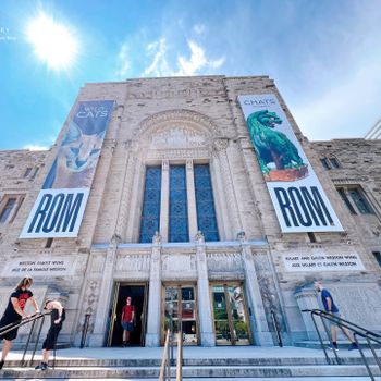 【加拿大-Toronto】穿越時空的文化之旅│皇家安大略博物館│Royal Ontario Museum