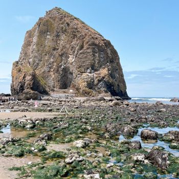 【美國 - Oregon】探索坎農比奇小鎮 │ 絕美海岸線與卡農海灘 Cannon Beach