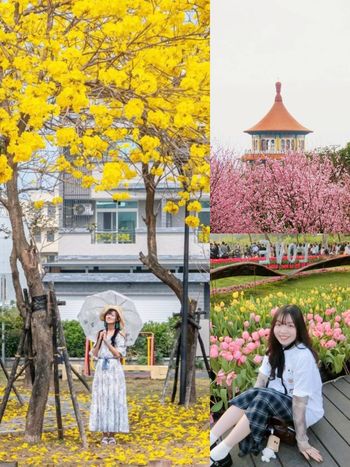 2025春季全台必拍5大花海景點推薦！士林官邸鬱金香、黃花風鈴木、櫻花花海⋯美到相機停不下來！