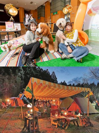 2025新北春紛節3月底登場！美食市集、復古露營、毛孩親子同樂活動全都有，3大必逛亮點一次看！