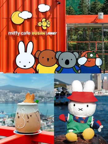 2025韓國釜山必去米飛兔咖啡廳！爆美海景+Miffy甜點飲品療癒炸、限定「魚販米飛兔玩偶」必買！