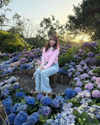 ♡ 大安森林公園 ×  繡球花季🌺