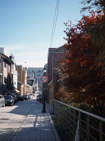 Fall in Seoul🇰🇷