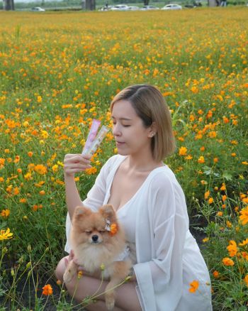 沒波凍第4團啦