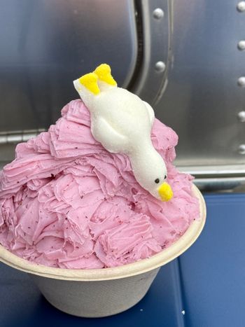 台東美食_廷海我很冷製冰所，來露營車尋找高CP牛奶冰