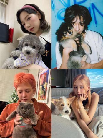 網熱議6組超有名的KPOP偶像×寵物組合！V、Rosé愛狗人氣直逼主人，GD愛貓爆紅出聯名周邊！