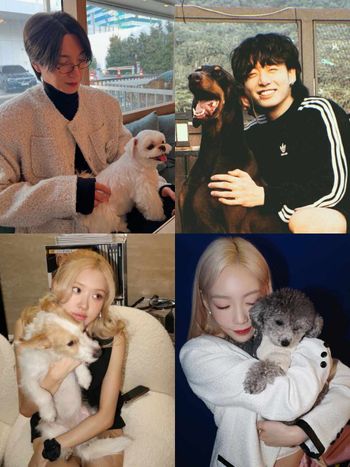 KPOP偶像毛孩爆紅！盤點7大KPOP偶像寵物帳號：柾國、Rosé愛犬追蹤破表，太妍＋ZERO實境秀萌翻粉絲！