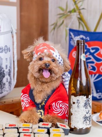 いらっしゃいませ～～～