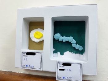 垃圾變黃金