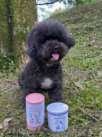 Goodmofamily歸毛家族 Good寶系列寵物保健品 免疫寶＋美膚寶—保健品吃對了！餵得方便，吃得開心💫  