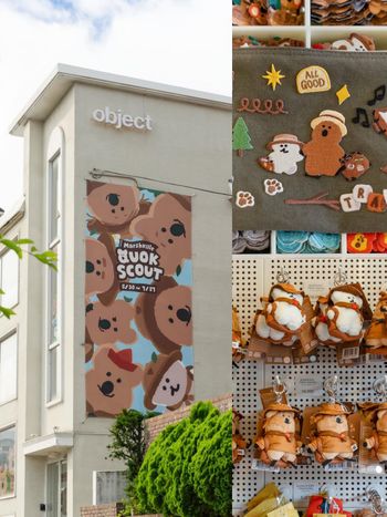 史上最萌！DINOTAENG矮袋鼠童軍系列「探險Quokka玩偶、BOBO刺繡布貼」只有這裡買得到！