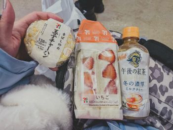 北海道｜超商🏪雪場🏂食物分享