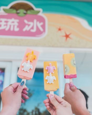 小琉球｜琉冰手作冰棒｜海龜造型冰棒