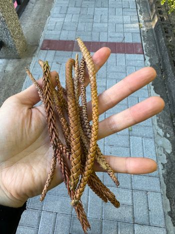 數學區素材