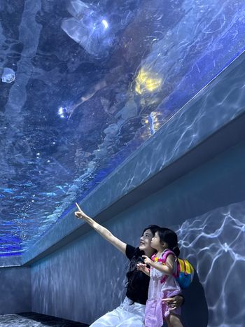 🌊 台中海洋館初探