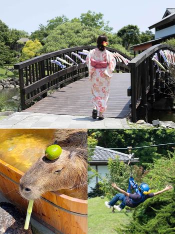2025宜蘭住宿推薦！綠舞國際飯店爆美日式庭園太好拍，住房還能免費穿浴衣、餵水豚、玩高空滑索！