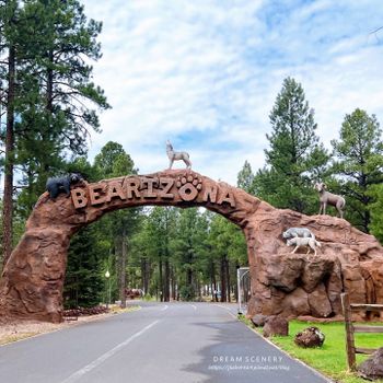 【美國-Arizona】亞利桑那州必訪野生動物園│開車進野生動物世界│Bearizona Wildlife Park