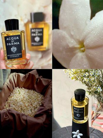 Acqua di Parma格調系列新香「迷煙茉莉淡香精」，承襲古法淬鍊茉莉花萃、紅茶、廣藿香，實現層次煙燻木質花香！