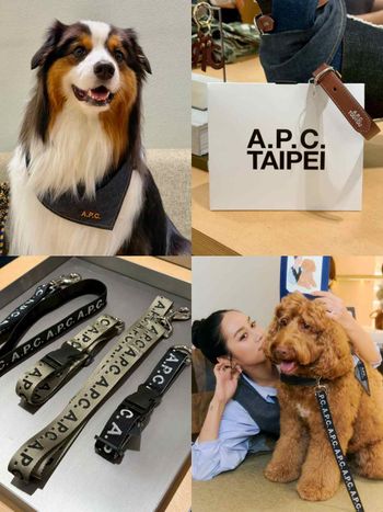 快帶毛孩去交朋友！A.P.C.將在信義舉辦限定寵物日！「免費冰淇淋、專屬插畫」只有當天有！