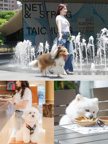 台中勤美草悟5大寵物主題活動開跑！帶毛孩住房送專屬備品、還有「毛孩路跑」讓你陪寶貝放鬆玩耍！