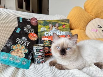 艾露吃得飽飽胖胖