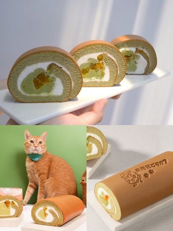 貓奴發瘋！亞尼克×高雄捷運「蜜柑站長」元氣蜜柑生乳捲開賣、還有Q翻小公仔&吊飾周邊要買！