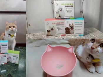S&I毛孩保健研究室：益生菌、葉黃素、心臟胺基酸真實體驗！呵護毛孩健康，延長陪伴時光