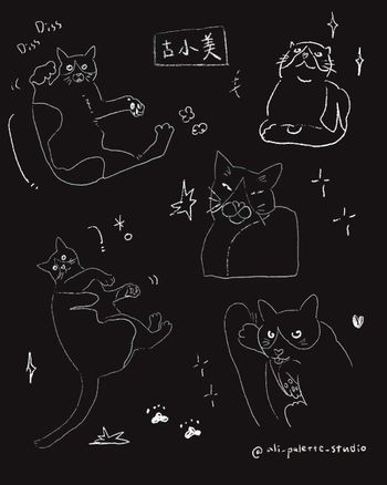 貓咪畫家推薦