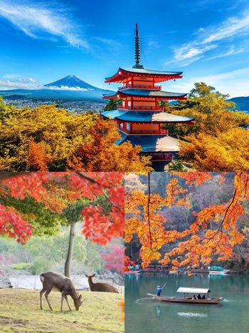 2025日本賞楓7大景點推薦！「新倉山淺間神社」富士山+紅葉美翻天、奈良公園邊玩鹿邊看楓葉太療癒！