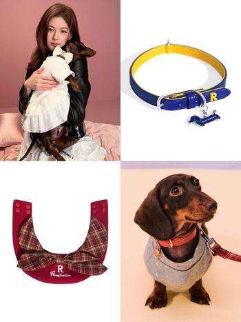 《許我耀眼》趙露思創個人品牌啦！ROSY DOEDIAN火速爆紅！愛犬還親自當模特？！