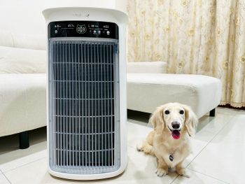 📦【SoleusAir 吸毛大師宅配開箱】