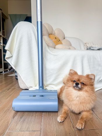 拖地吸塵一次做好