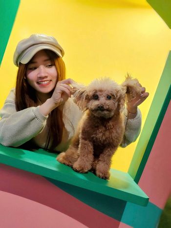 捕捉可愛的瞬間🐶