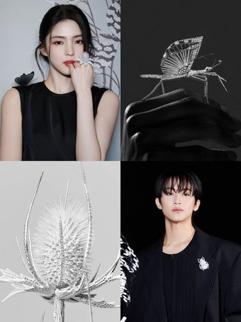 用看得也心滿意足！Boucheron全新高級珠寶！韓韶禧同款「胸針、戒指」美到眼睛移不開！