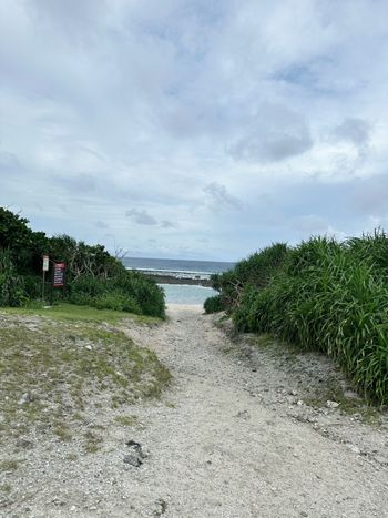 🎋綠島景點推薦，在地人都說讚的行程➜上集 