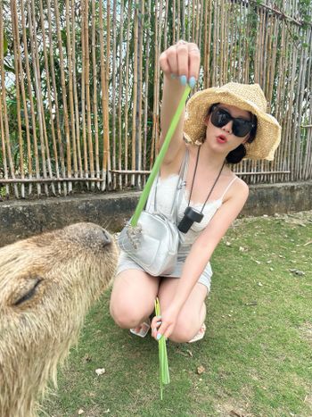 在墾丁遇見最Chill的居民🦫🌴