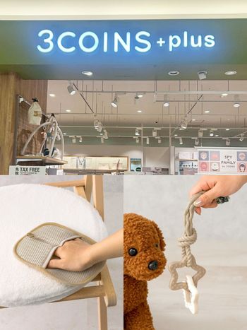 日本3COINS必買7大寵物用品推薦！超實用「電動除毛刀、潔牙小玩具、貓砂收集墊」百元就能收！