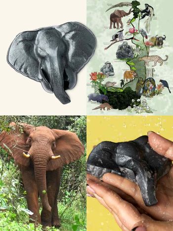 從洗澡開始的保育行動！LUSH「守護大象沐浴果凍」即將開賣，75%收益捐公益、用香氣守護非洲森林象！