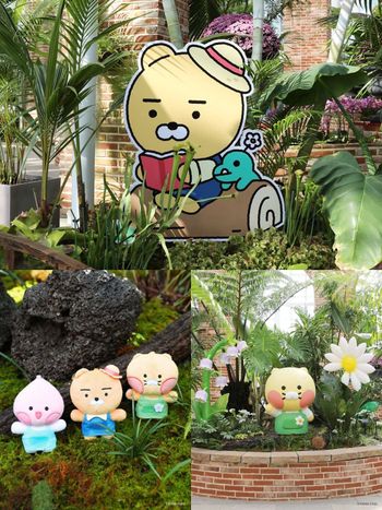 韓國人氣植物園跟Kakao Friends推聯名特展！園丁春植萌翻必拍、還有限定「賞花萊恩玩偶&小貼紙」要買！