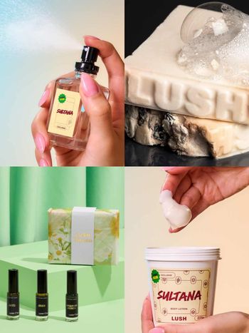 2026香氛新品快訊！LUSH乾果子系列限量上市，從沐浴開始被溫暖乳香＋清新果香包圍，加碼香迷必收「香水圖書館」小香組！