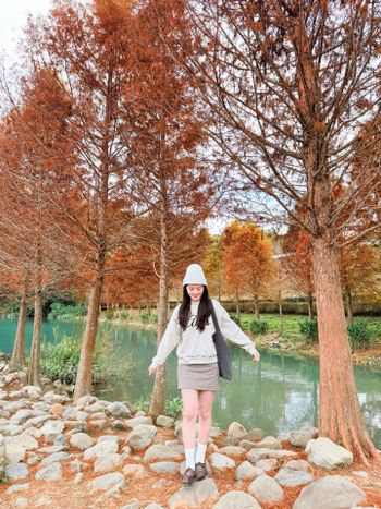 🇹🇼南投景點｜落羽松秘境 一秒來到歐洲森林🍂