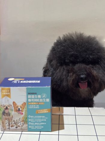 毛孩腸道救星｜Moegis萌吉 腸道生機專利RBE益生菌日常保養分享🐶          
